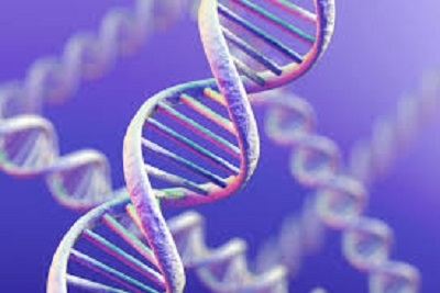 Kompletna dubinska analiza celog tela svih organskih sistema do DNK analize