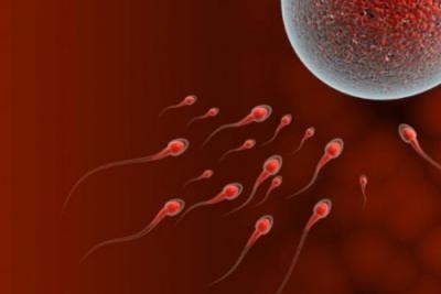 Spermogram i spermokultura u poliklinici LaboMedica